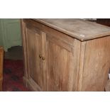 AN ANTIQUE PINE TWO DOOR CABINET