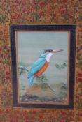 A group of ten Eastern watercolour studies of ornithological subjects, with floral borders,