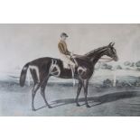 A hand coloured print of the racehorse "Doncaster", winner of the Derby stakes at Epsom 1873, in a