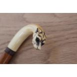 A 19th Century walking cane, the handle carved as a dog's head with glass eyes