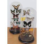 Three tall glass dome cased specimen butterfly displays, 54cm high approximately