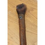 A rare 19th Century briar walking stick, with scratch carved decoration, depicting serpent rising to