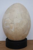 A rare fragmentory elephant bird's egg, approximately 34cm
