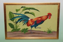 Fred Aris (b.1932-?), Cockerel, signed, oil on board, 31 x 46cm.