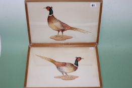 Fred Aris (b.1932-?), A pair of watercolours of pheasants, signed, 26 x 38cm.