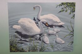 Fred Aris (b.1932-?), Swans and signets, signed, oil on board, 40 x 51cm.