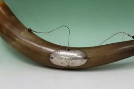 A large cow horn vessel with applied white metal commemorative plaque. (in German). Dated 1857
