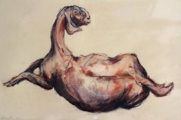 Claire Norrington (b.1969) (ARR), Nubian goat resting, signed and dated 98, charcoal, watercolour