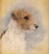 F Walton, Study of fox terrier ‘Tough Guy’ signed, watercolour, 6 x 5cm.