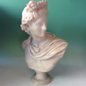 A marble bust of the Apollo Belvedere after the antique. 40cm high.