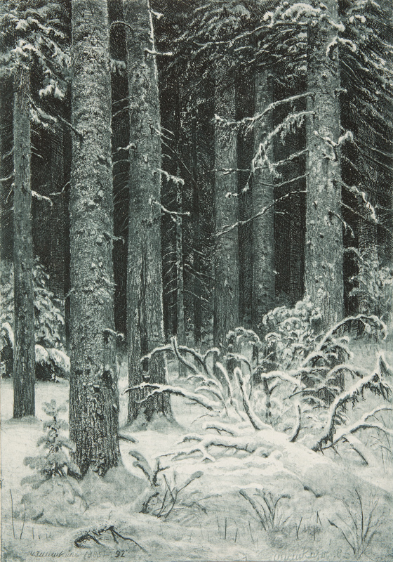 Shishkin Ivan Ivanovich (Russian, 1832-1898) Wild wood 1885-1892 Paper, etching 28 x 20 cm