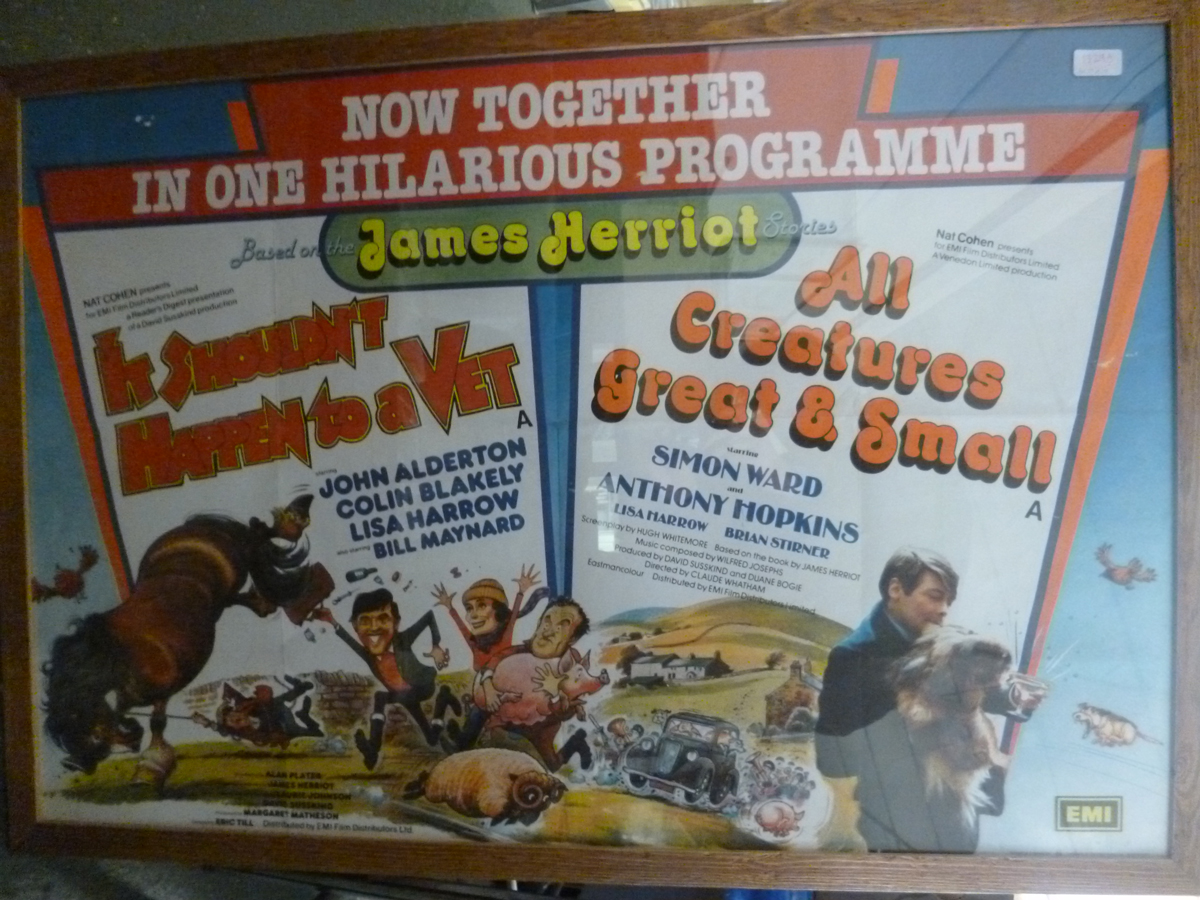 IT SHOULDN'T HAPPEN TO A VET - ALL CREATURES GREAT AND SMALL, film poster double bill, starring John