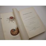 GEORGE BRETTINGHAM SOWERBY: A CONCHOLOGICAL MANUAL, L, 1846, 3rd edn, 27 hand col'd plts, 2 fdg