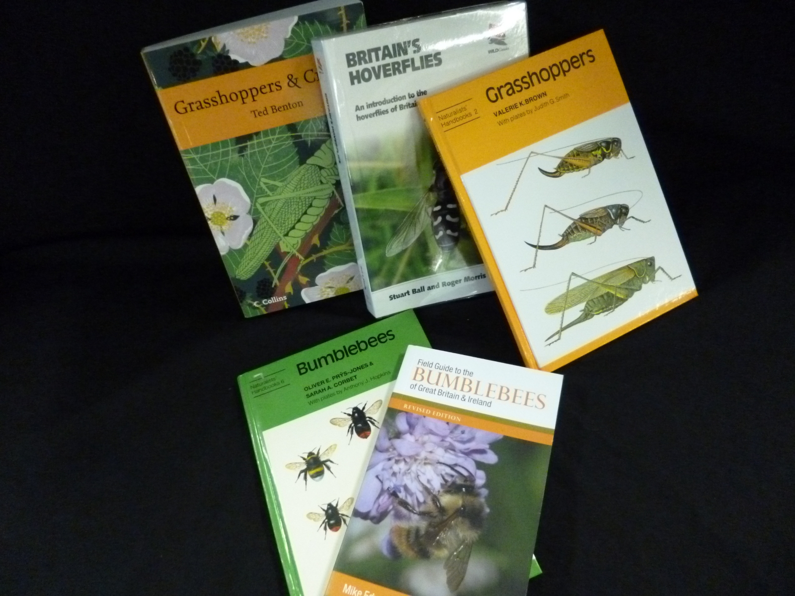 MIKE EDWARDS AND MARTIN JENNER:  FIELD GUIDES TO THE BUMBLEBEES OF GREAT BRITAIN AND IRELAND, 2009