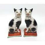 Pair of Staffordshire models of seated black and white Cats, raised on rectangular cushion bases, 7