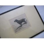 LUCY DAWSON (1874-19540, sigd drypoint etching "Cocker Spaniel", approx 6" x 7 1/2", f/g