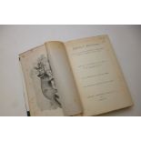 REV H N HUTCHINSON: EXTINCT MONSTERS, 1893 reprint, orig cl gt