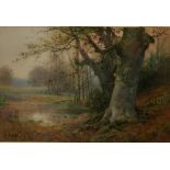 THOMAS TAYLER-IRELAND, SIGNED, WATERCOLOUR, Wooded Landscape, 13" x 20"