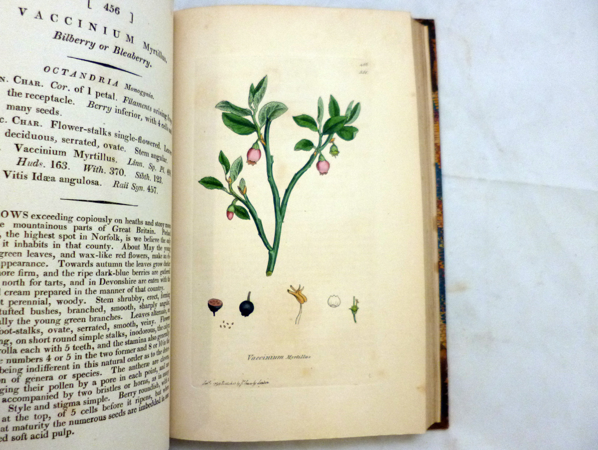 JAMES EDWARD SMITH AND JAMES SOWERBY: ENGLISH BOTANY; OR COLOURED FIGURES OF BRITISH PLANTS..., - Image 5 of 11