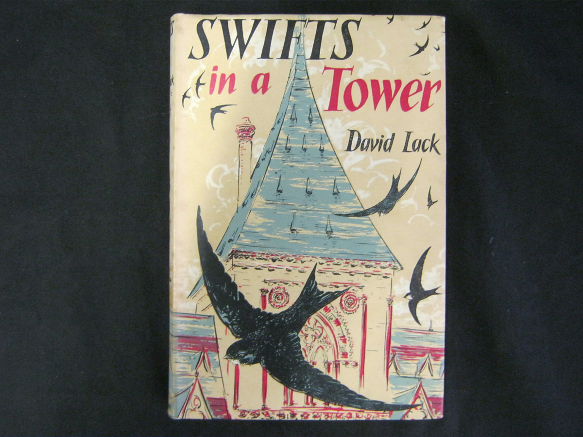 DAVID LACK: SWIFTS IN A TOWER, 1956 1st edn, orig cl d/w - Image 5 of 5