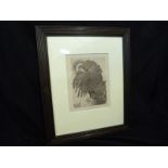 E J DETMOLD, etched print Nightjar, approx 7 3/4" x 5 1/2" f/g