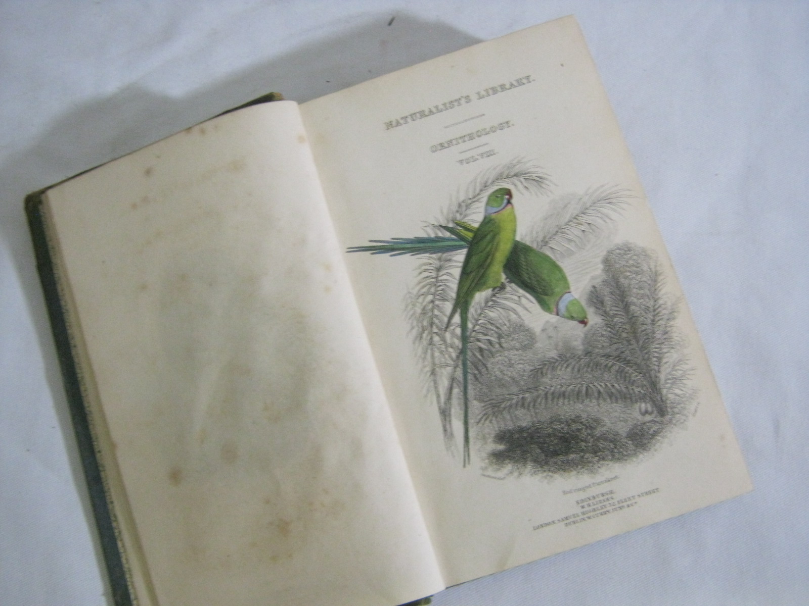 WILLIAM SWAINSON: THE NATURALISTS LIBRARY ... ORNITHOLOGY VOLUME VIII BIRDS OF WESTERN AFRICA,