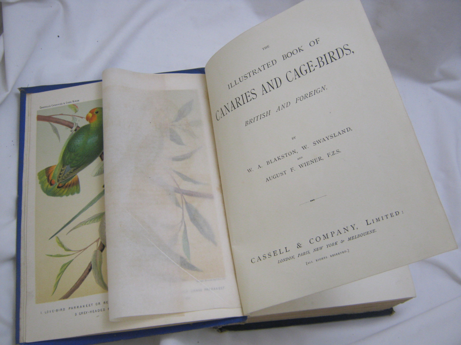 W A BLAKSTON, W SWAYSLAND AND AUGUST F WIENER: THE ILLUSTRATED BOOK OF CANARIES AND CAGE-BIRDS,