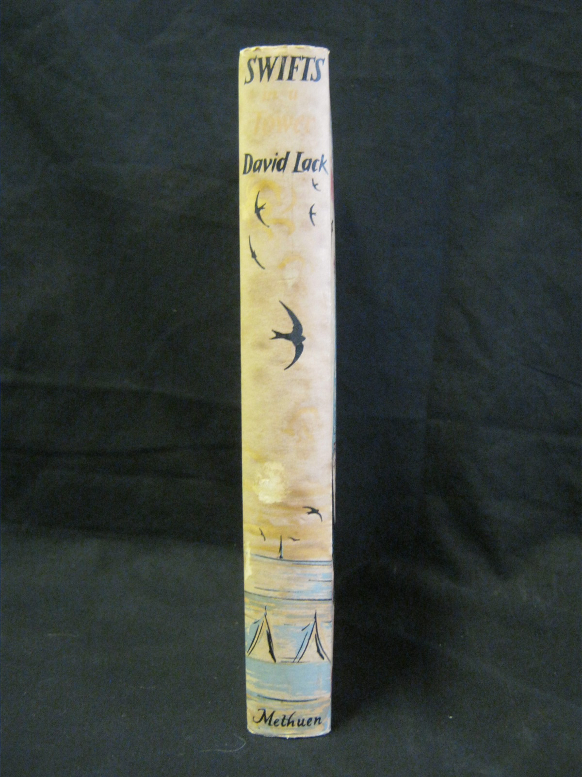 DAVID LACK: SWIFTS IN A TOWER, 1956 1st edn, orig cl d/w - Image 4 of 5