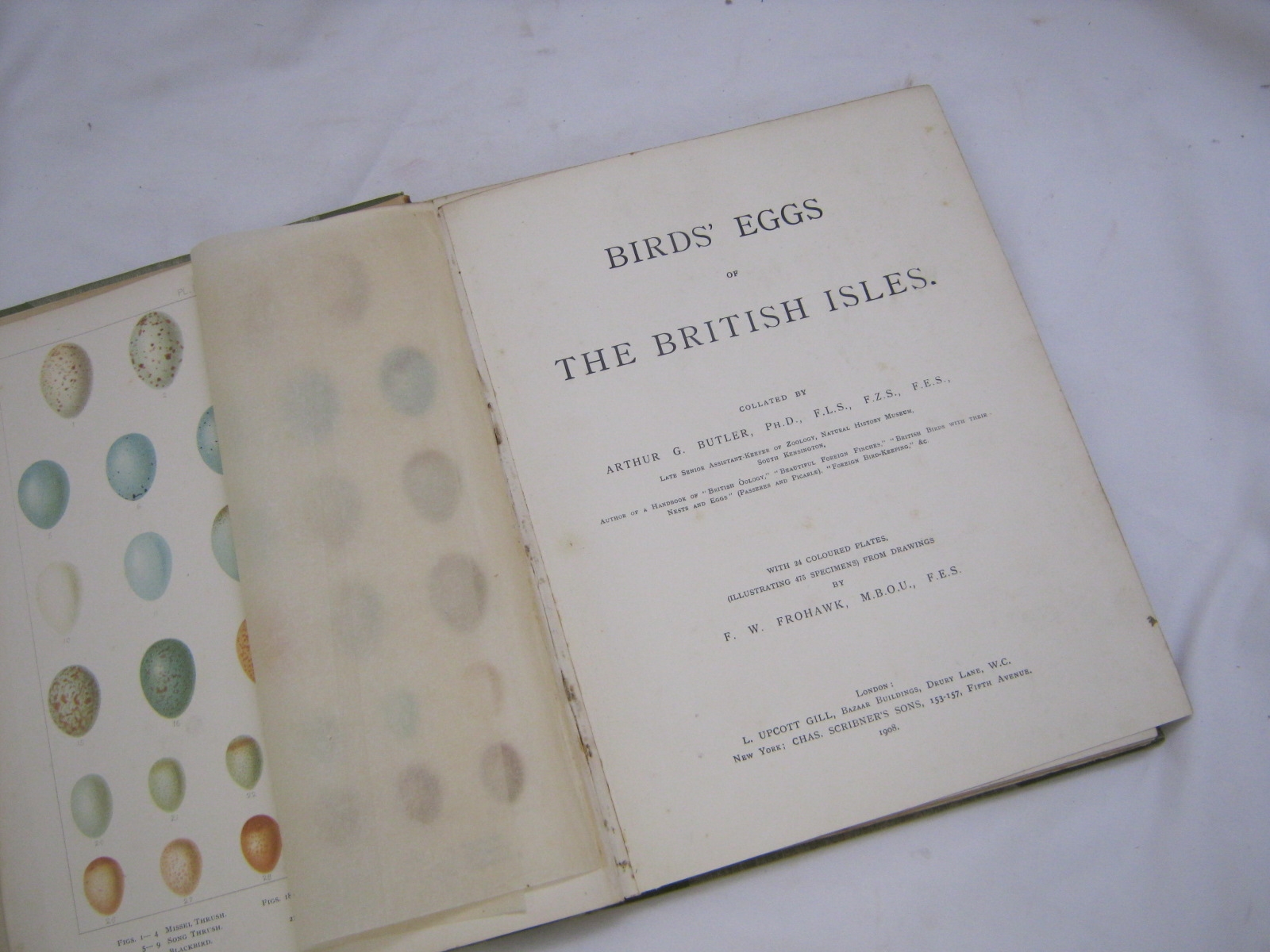 ARTHUR G BUTLER: BIRDS' EGGS OF THE BRITISH ISLES, Ill, F W Frohawk, 1908, 21 col'd plts, orig two-