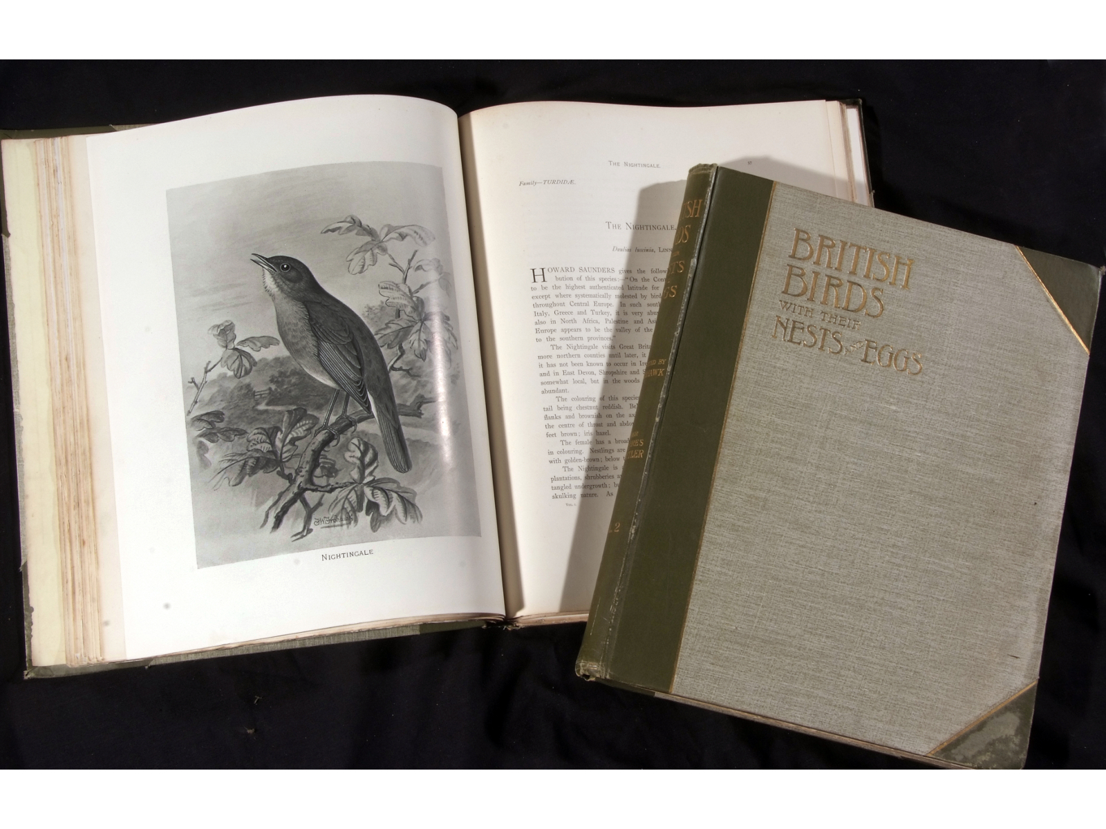 ARTHUR G BUTLER: BRITISH BIRDS WITH THEIR NESTS AND EGGS, Ill, F W Frohawk [1896-1898], 6 vols,