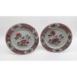 A pair of 18th Century Chinese Plates, the centres painted predominantly in famille rose with floral