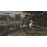 AFTER WILLIAM DANIELL, PAIR OF ANTIQUE COLOURED AQUATINTS, PUBLISHED 1809,  Fox ,  Goose , EACH 4" x