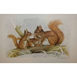 PATRICK A OXENHAM, SIGNED IN PENCIL TO MARGIN, COLOURED PRINT, Family of Squirrels, AND LIMITED