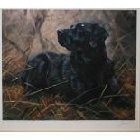 JOHN TRICKETT, SIGNED IN PENCIL TO MARGIN, TWO LIMITED EDITION COLOURED PRINTS, Dog Studies, 12" x