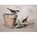 AFTER E TRAVIES, SET OF TWELVE HAND COLOURED ENGRAVING, History of Birds, assorted sizes (12)