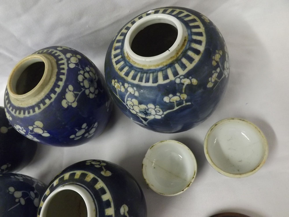 A collection of five various Chinese Ginger Jars, all typically decorated with a prunus blossom - Image 5 of 6