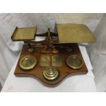 A large set of late 19th/early 20th Century Brass postal scales, raised on a serpentine Oak base