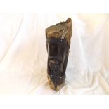 Zimbabwe carved Hardwood head and shoulders bust of a tribal maiden (Ironwood), 13" high