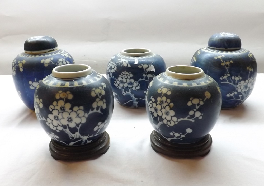 A collection of five various Chinese Ginger Jars, all typically decorated with a prunus blossom