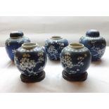 A collection of five various Chinese Ginger Jars, all typically decorated with a prunus blossom