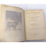 W A BAILLIE-GROHMAN: SPORT IN THE ALPS IN THE PAST AND PRESENT, L, 1896, 18 engrd plts, rebnd hf