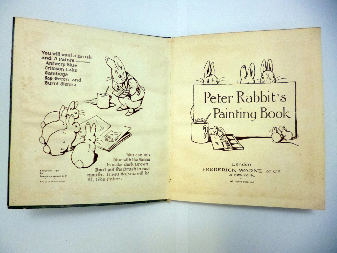 BEATRIX POTTER: PETER RABBIT'S PAINTING BOOK, [1911], 1st edn, 12 col'd ills, other ills not col'd - Image 4 of 9