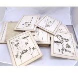 Collection of 50+ specimens of pressed flowers and plants mounted on card, circa 1911-1914,