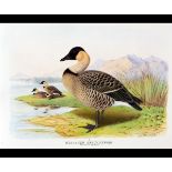 PETER J S OLNEY AND SIR PETER SCOTT: THE WILDFOWL PAINTINGS OF HENRY JONES, 1987, limited edition (