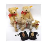 A basket containing five modern Steiff Collectors Bears   40-60