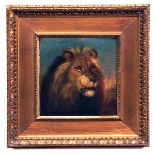 ATTRIBUTED TO EDWARD ROBERT SMYTHE (1810-1899, BRITISH) Head Study of a Lion oil on board 9 x 9ins