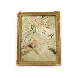 A rectangular framed 19th Century Silk Work Study of tropical birds amongst foliage, frame 20” high