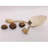 Mixed lot comprising a novelty spoon formed from seashells, three small novelty polished nuts
