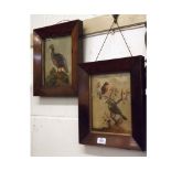 Two unusual Painted and Moulded Pictures, depicting a red-legged partridge and a robin and a further