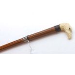 Small 19th Century Sword Stick, the ivory handle formed as an Eagle's head, the cane body with metal